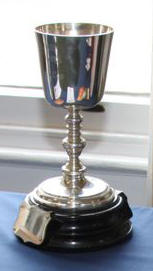msj cup